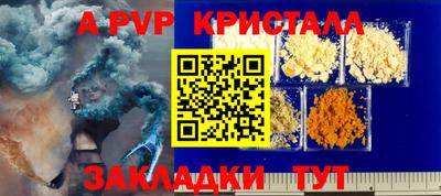 прущие грибы Можайск