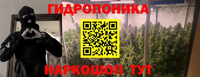 прущие грибы Можайск