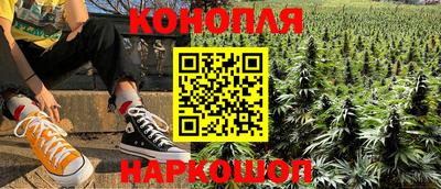 прущие грибы Можайск
