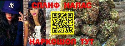 эйфоретик Моздок