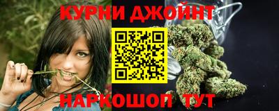 прущие грибы Можайск
