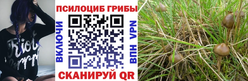 Галлюциногенные грибы GOLDEN TEACHER Сызрань
